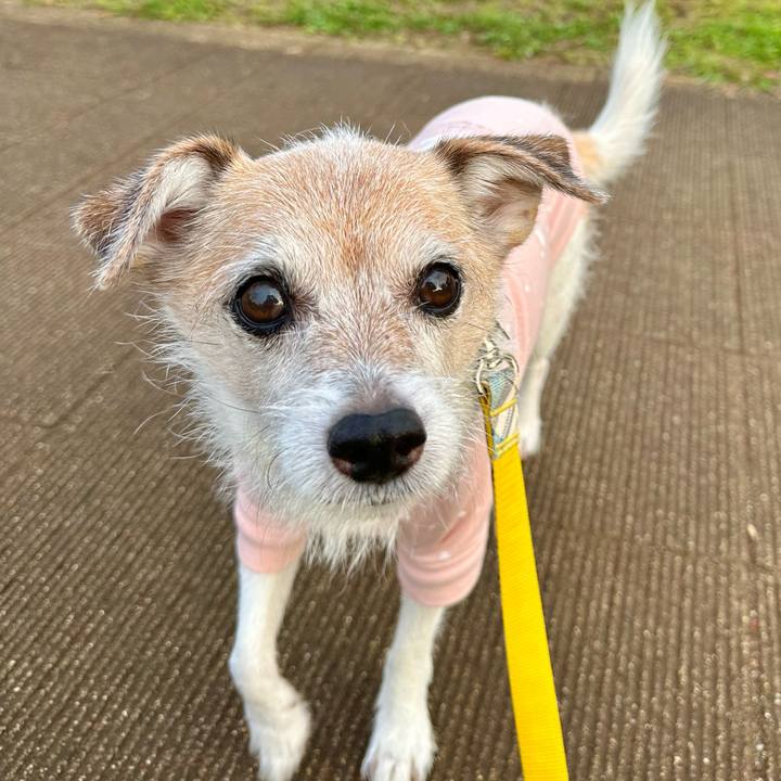 Eb743f8f 04cc 4701 91fb 19f11263d537 1699224319697