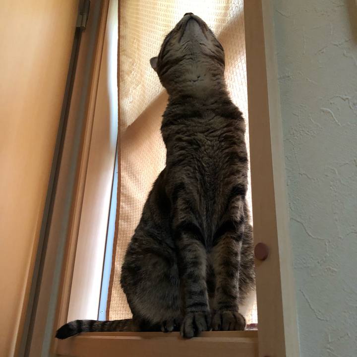 Eb744369 22d4 4bcc a698 4338274b48fc 1529728965123