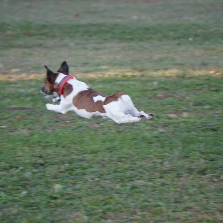 Eb745be2 0ae1 4374 b68a 2528a4975c44 1573511592771