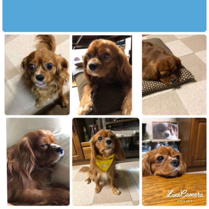 Eb746d60 8242 4c75 bf45 8481bec47217 1540646426422