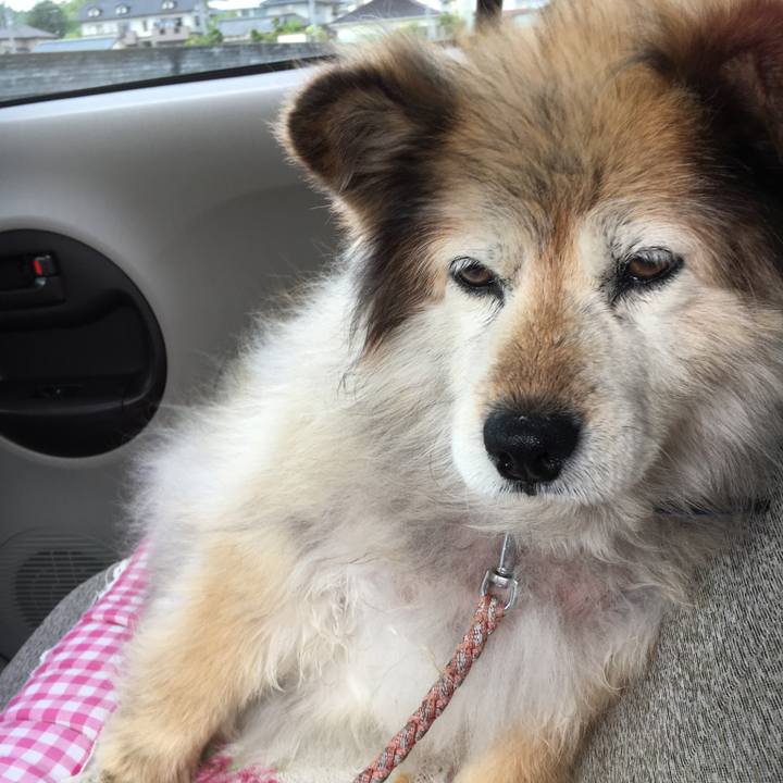 Eb74a98d d330 4d41 b590 0a5e3862d6a8 1598913180414