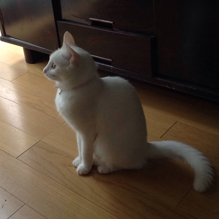 Eb74c93a 09cc 42a0 af93 296b71a5e3db 1628319149528