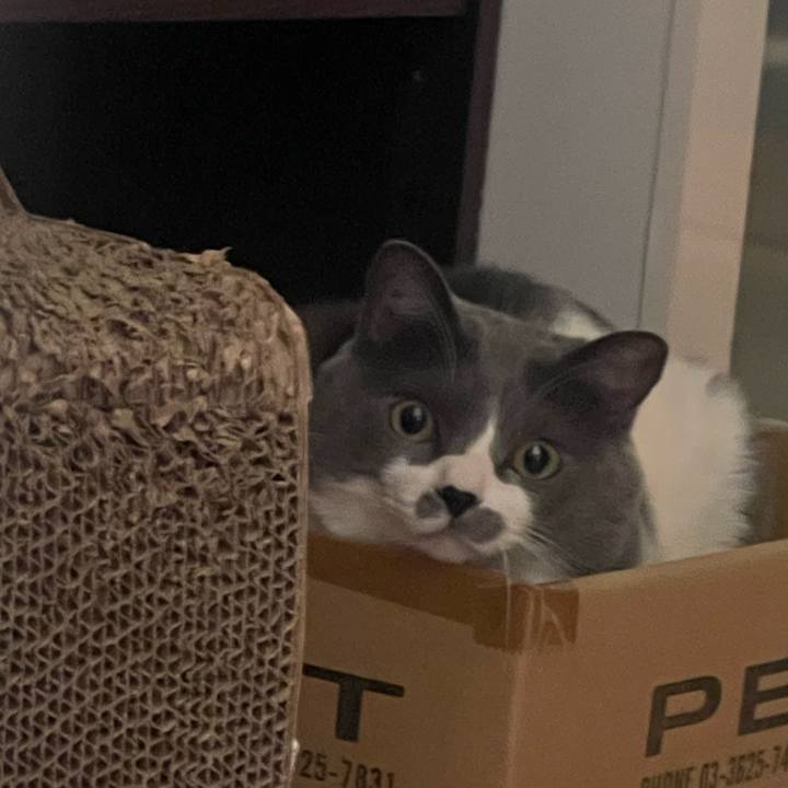 Eb74ed4b a2c2 44ea b550 94521701739f 1740883791680