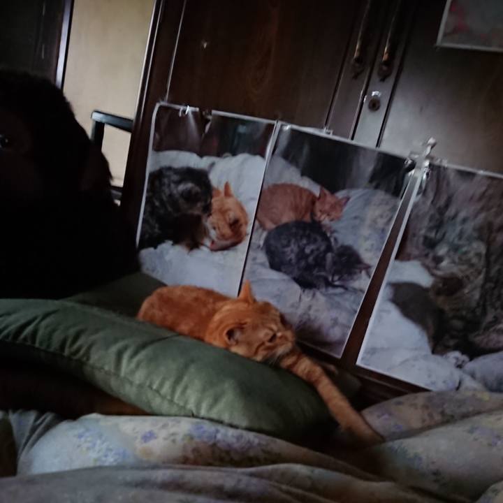 Eb750d66 93ea 4d24 8f77 ebb8f1306459 1657919811583