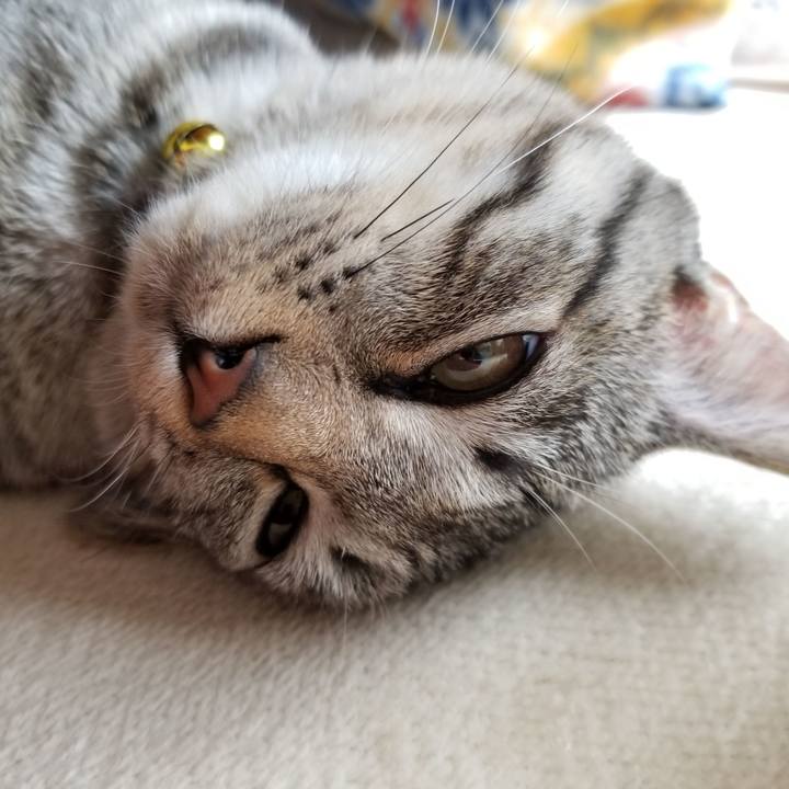 Eb750daa 7f0e 4ed7 b961 474c1ced9938 1671964070345