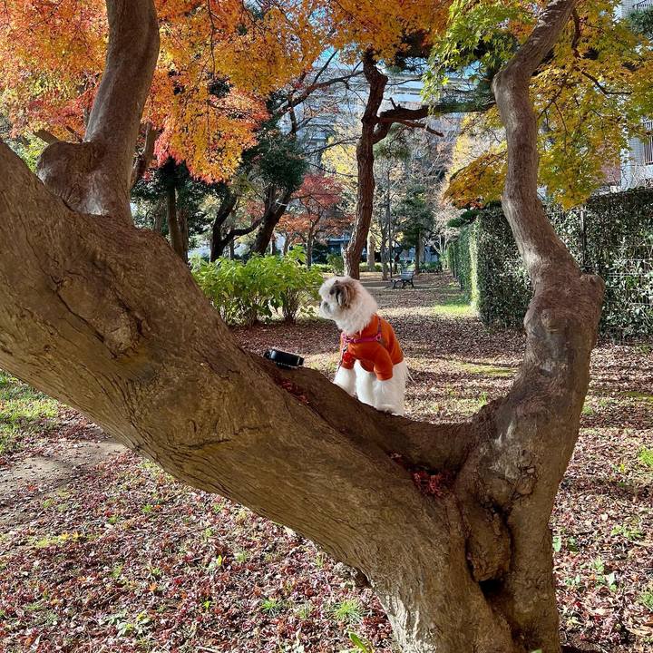 Eb7587a7 d15e 4789 b7a2 927928b48118 1670573635281