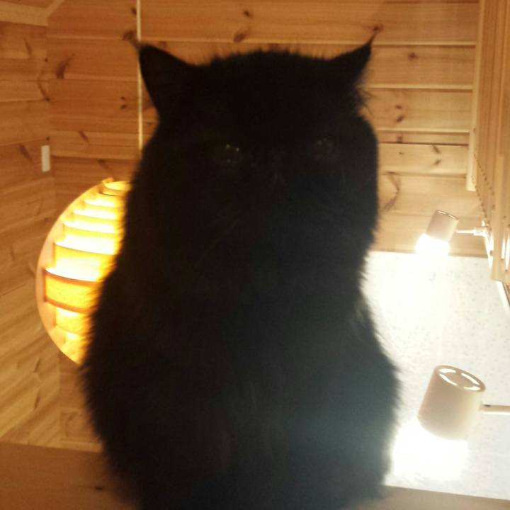 Eb75a7e6 a4f7 4a1d b1b6 e295c7509be6 1512294548093