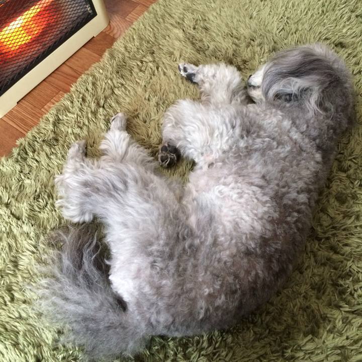 Eb75ab48 baee 4d01 909a 45872dab5235 1732512017858