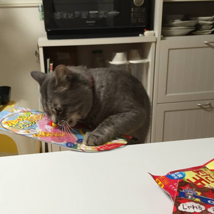 Eb75bac2 9a8e 4f92 98ba ddfd843cf7da 1564273002038