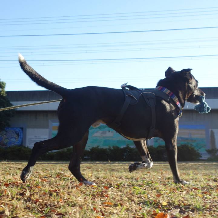 Eb7601dc 4601 47ec b2e6 31df6bdf6bef 1637888839667