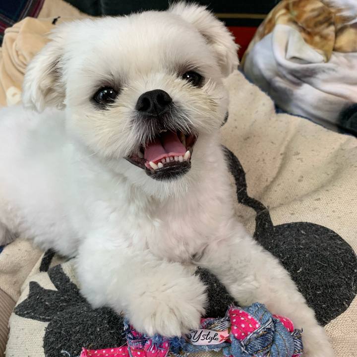 Eb7651b5 6ddd 474a a2bd f5b5166dd019 1630213273850