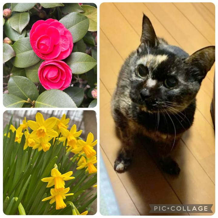 Eb765e19 0938 41aa b7b9 418d218fa98f 1774063907200