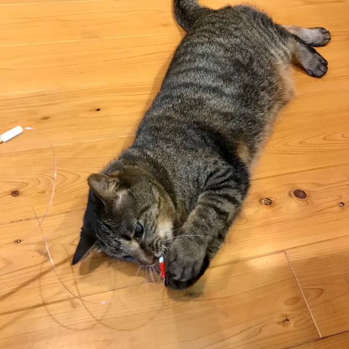 Eb767c46 9bb8 42b9 9b0e a3c6e83daba4 1586749253094