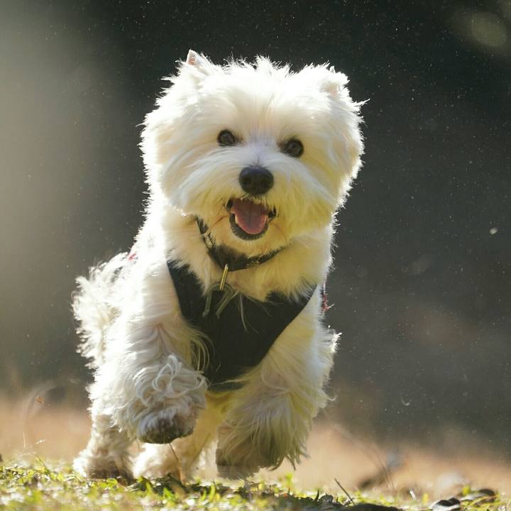 Eb7683bb 0347 454b bf70 6c56acc7f541 1512687120699