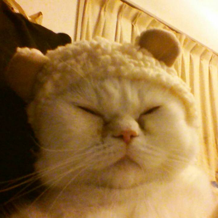 Eb76cbbb 0f83 4d38 85d6 b96448084c23 1514198482365