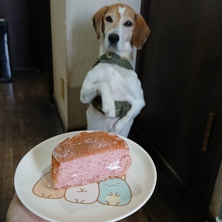 Eb76f5bc d258 448a 8900 46121e14fb6c 1768829275942