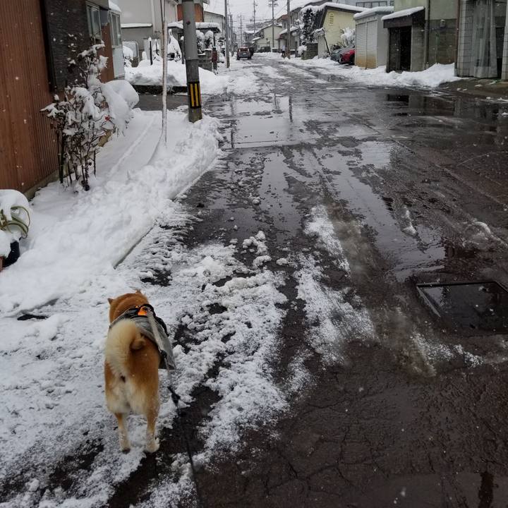 Eb76fd7f f3ec 49bc a88a 51035c7027a2 1639891727144