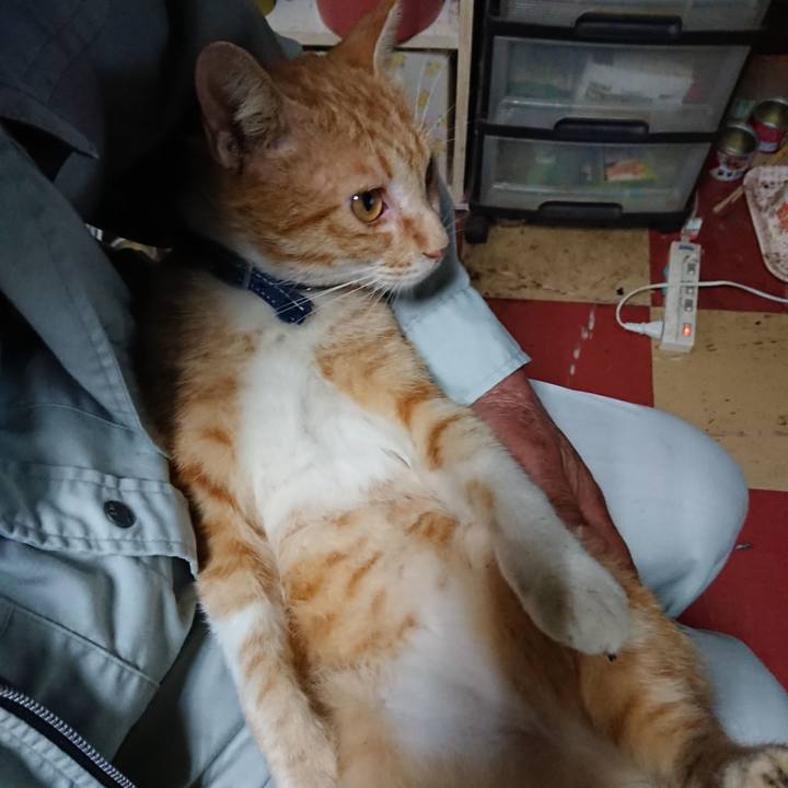 Eb772864 da8b 4268 a874 4633f9b3ad84 1559857880147