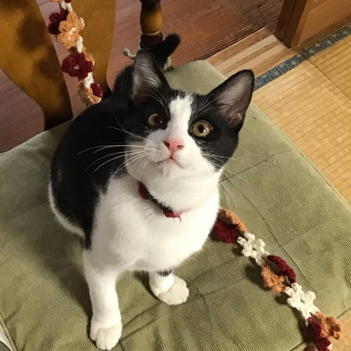 Eb773d20 eb58 490d bc41 6b559374d245 1629972443483