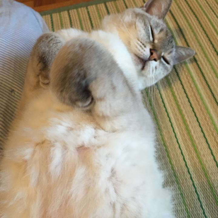 Eb7757d2 bf9f 4f1d a3b9 f4b450d89385 1533244338632