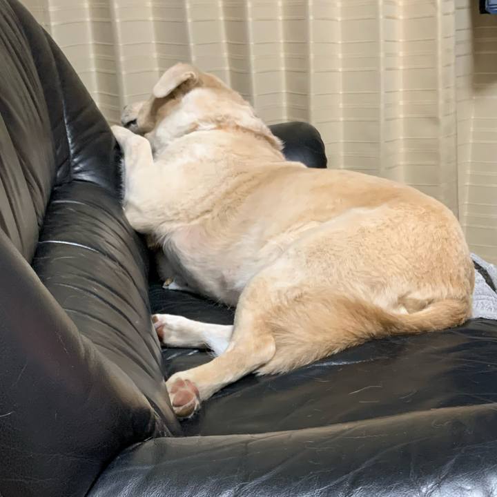 Eb777d4d 831f 488c a92c c2c15e397def 1577371871334