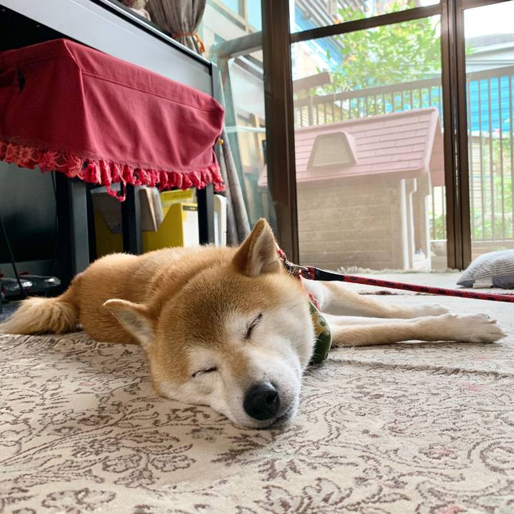 Eb7784ff e104 41b5 894e a7da0f4bdcab 1593248048355