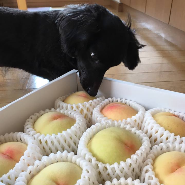 Eb77aa79 d874 45eb b453 ed6825a11ffa 1532559564088