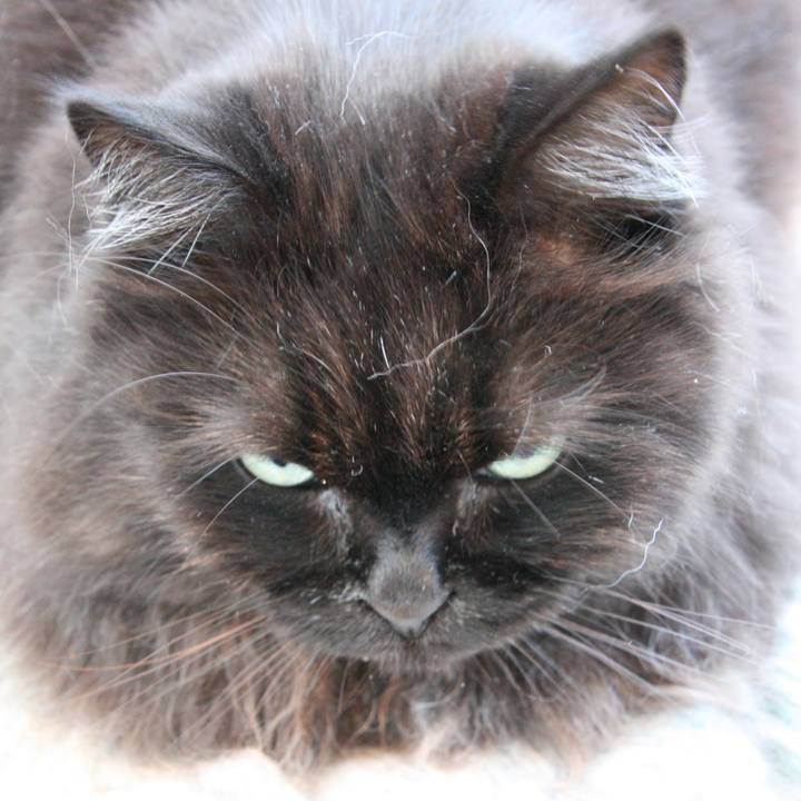 Eb77c72c 3f6c 4a80 a7ba ef7c8897560c 1509703861547