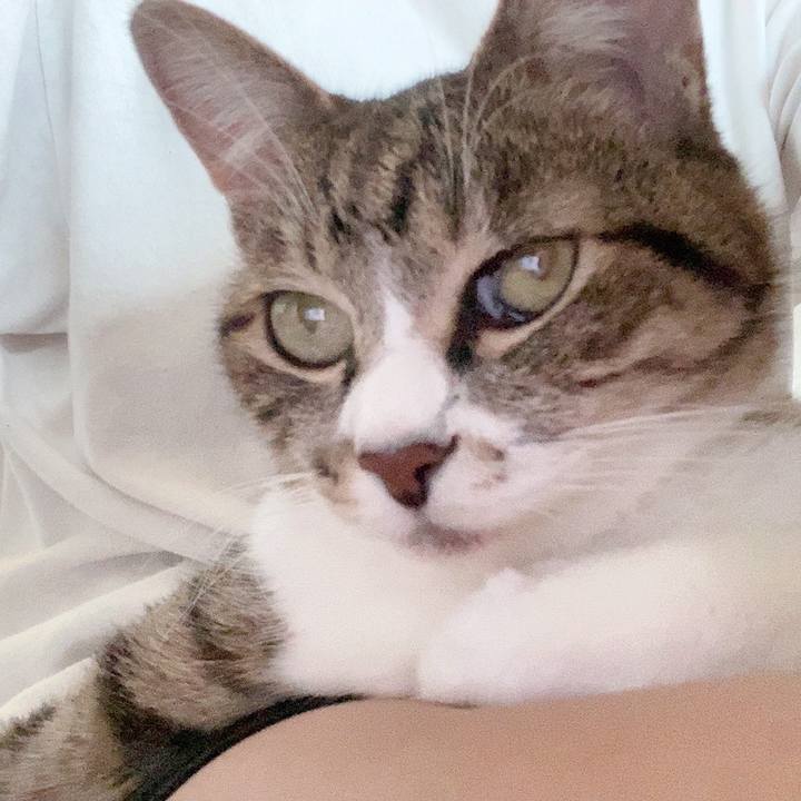 Eb77d2c6 a480 44bc af67 85fe9c0575ca 1622987936629