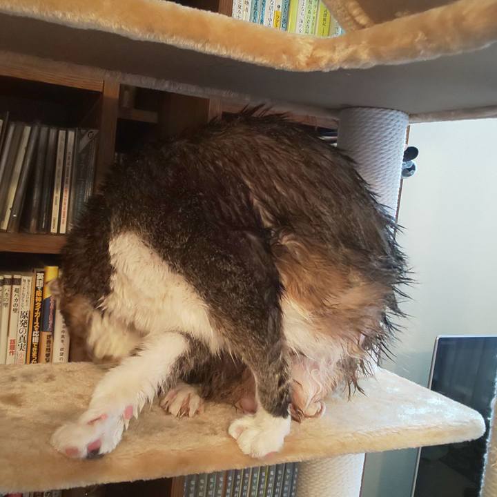 Eb77ec6d dde5 4f4f a546 932b04f7e19e 1564884027542