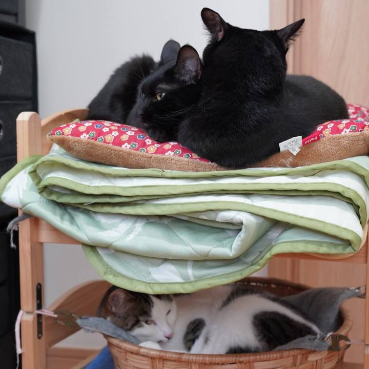 Eb780c35 732c 420e a12a 3e773c57dac7 1617539425956