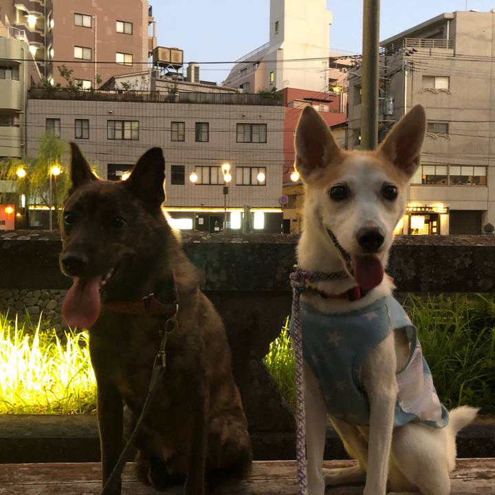 Eb782c86 00a8 4dfa 8a2b eaf63d316b5e 1597675493081