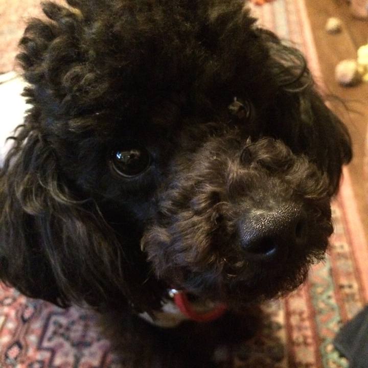 Eb783396 00dc 4e17 af9b 1168675fe7d7 1521541076108