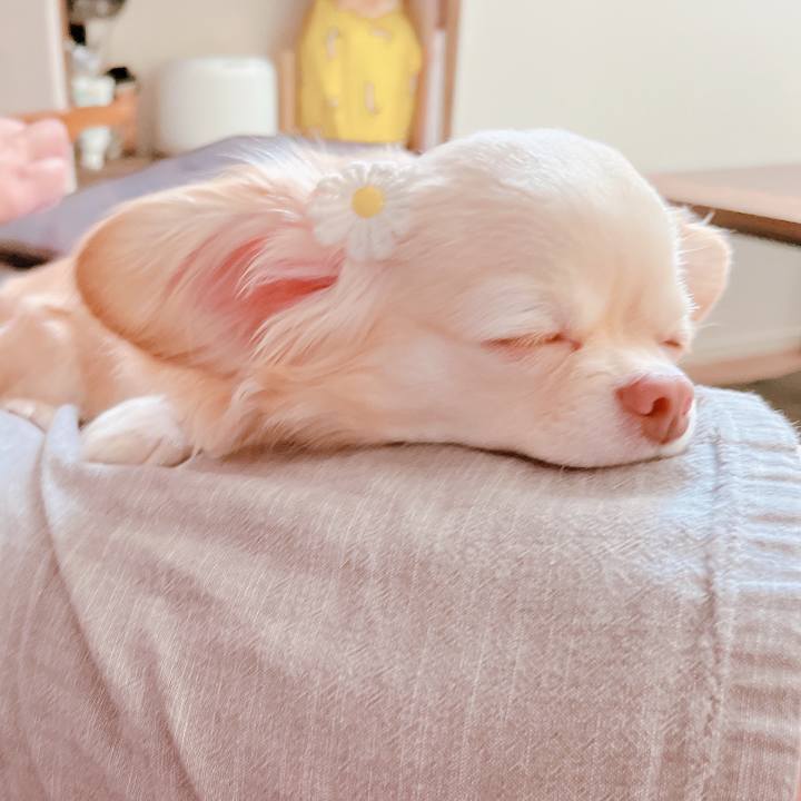 Eb787adf 72cd 44ed 8d01 552d96ffe087 1657431095807