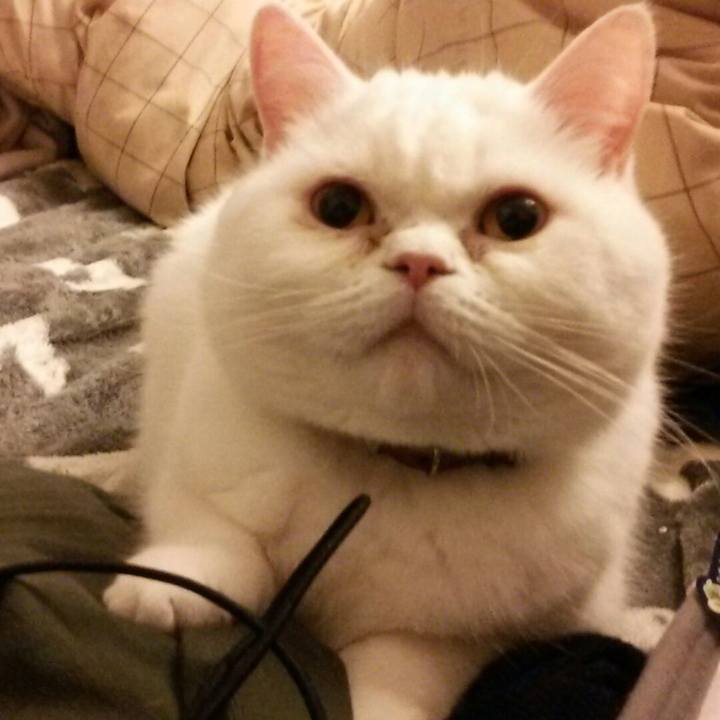 Eb789f9a 38f5 4d19 82fa d83145804a9d 1521110111974