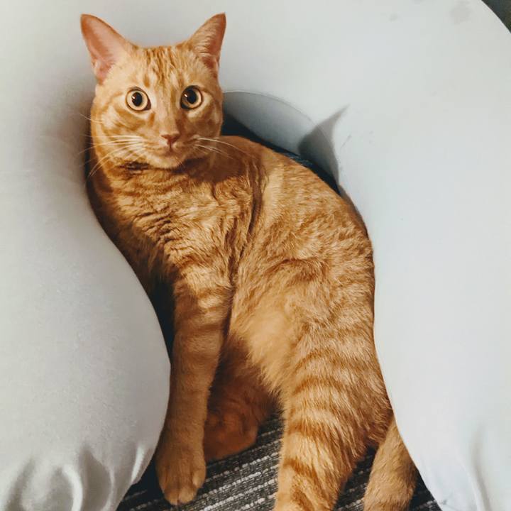 Eb78b0f1 1d4f 4654 85a2 2b6d558b2d0c 1653138780313