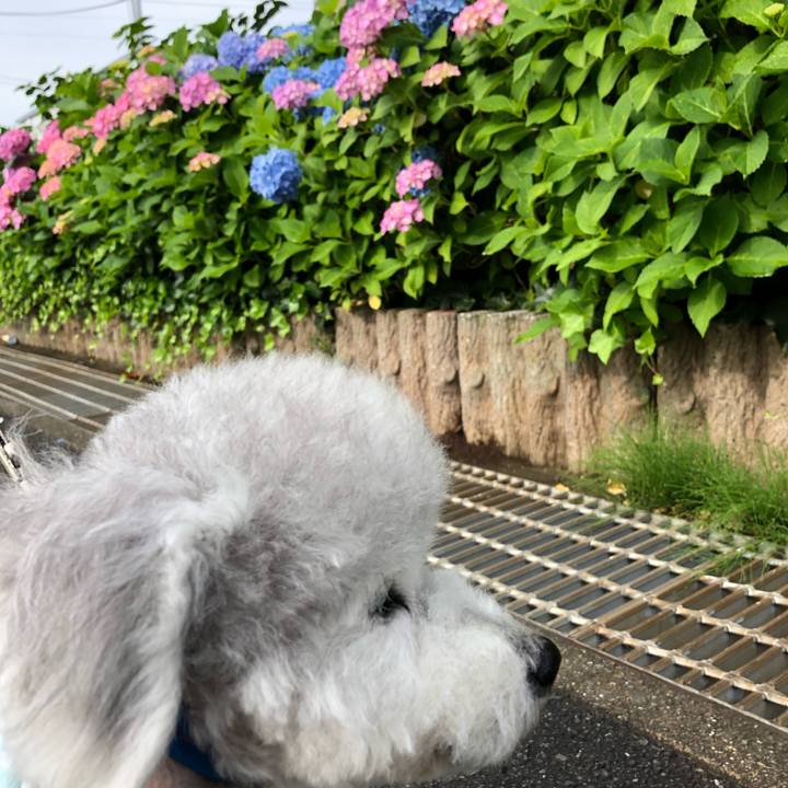 Eb78b80e d2f0 4f57 8881 2ef9d9dcf431 1622160227259