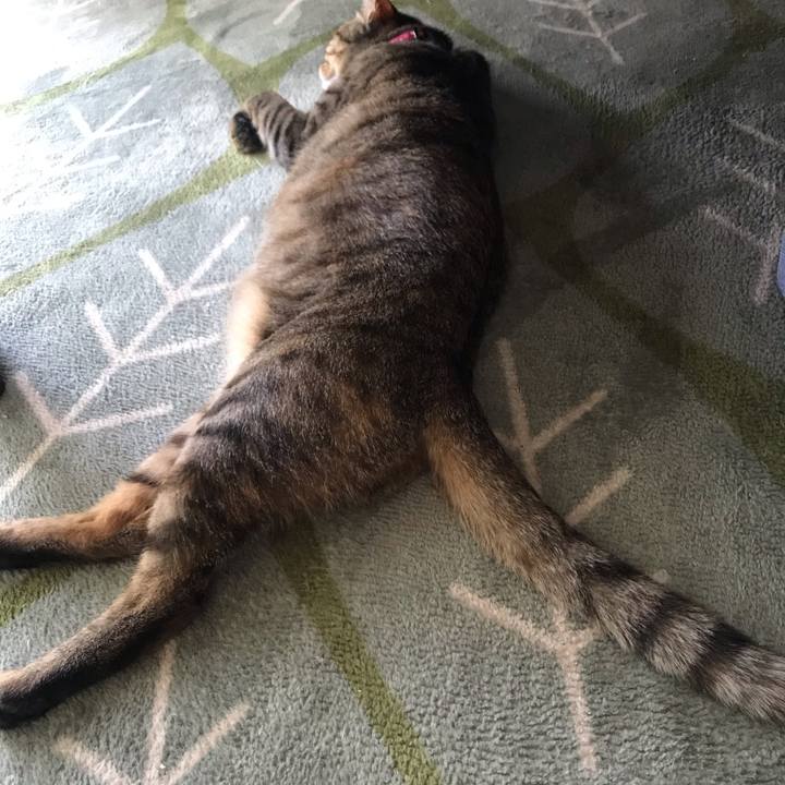 Eb78cb4c 9ec7 44ad 89ae 1d0a67b94f51 1589514216842