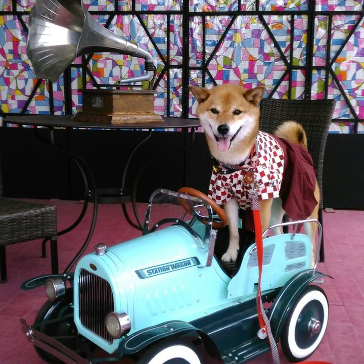 Eb78d8e3 f049 4cab 9136 4e191cb9836e 1565151310418