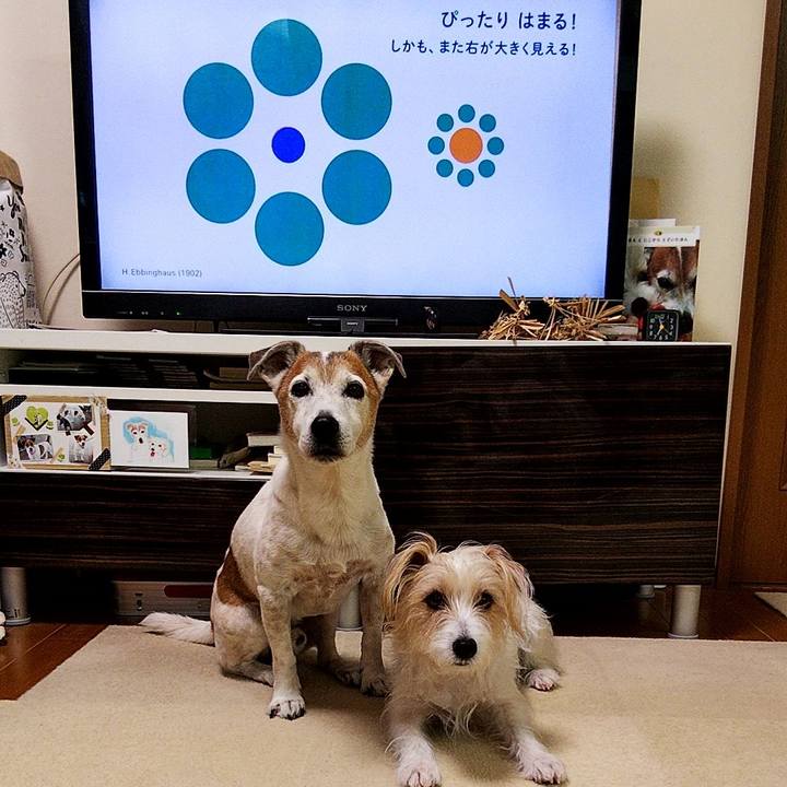 Eb7940c5 1366 418d b89e 778d28eb11f1 1585778538436