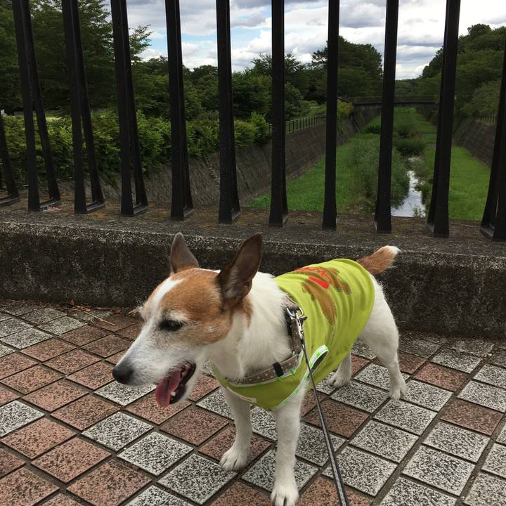 Eb79614b b72b 4172 ba6d 60b934a5b964 1624318124256