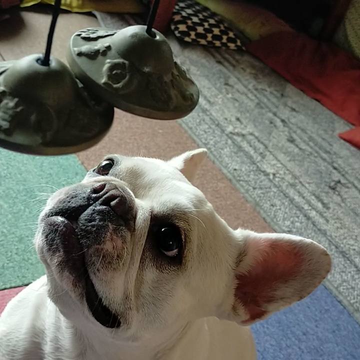 Eb796dd6 86be 407a 9af3 3b4ae96be998 1655780640399