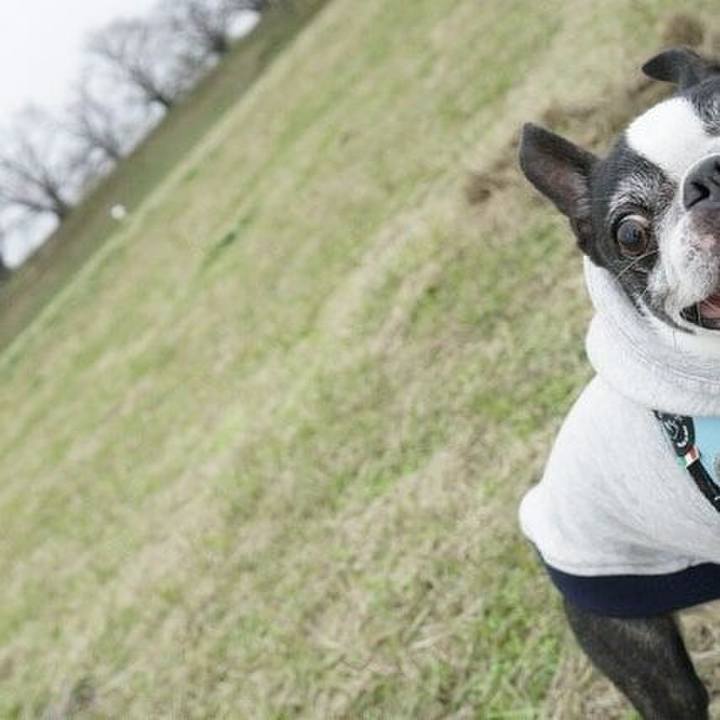 Eb79ac22 5734 4514 aee6 526348dc5970 1544953459391