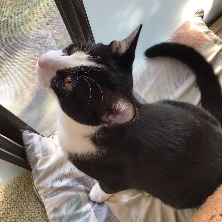 Eb7a17c4 987d 4acb acbd 908aefcac841 1636171731170