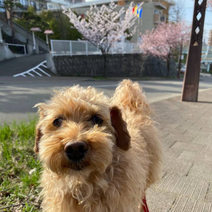 Eb7a1e07 ba6a 4362 85d7 fffc4e096c39 1650958746128