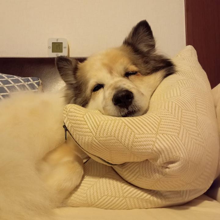 Eb7a4dbf 7a09 4a0b 9f28 b18cca1f059c 1643973319596