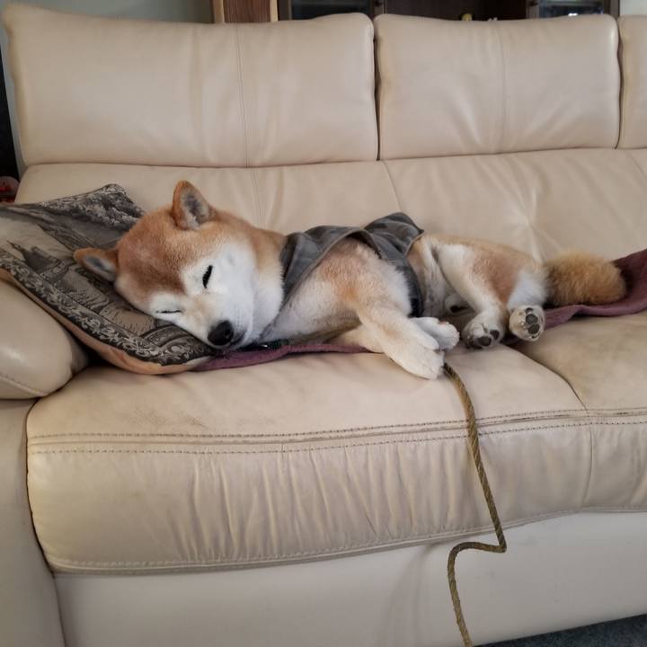 Eb7a55d7 c0f2 43f4 bd3e af0d345e18fe 1679699082012