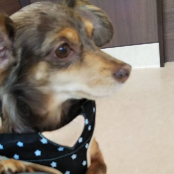 Eb7a77f8 c5e9 4367 a453 fa70e24b5532 1523714529127