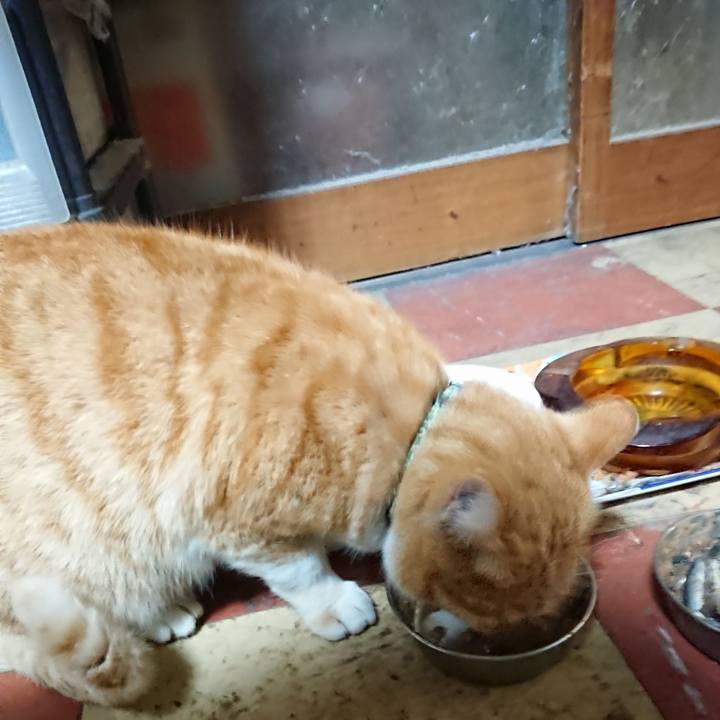 Eb7a90cb 2384 4c16 beef 3699fed3098f 1586166620192