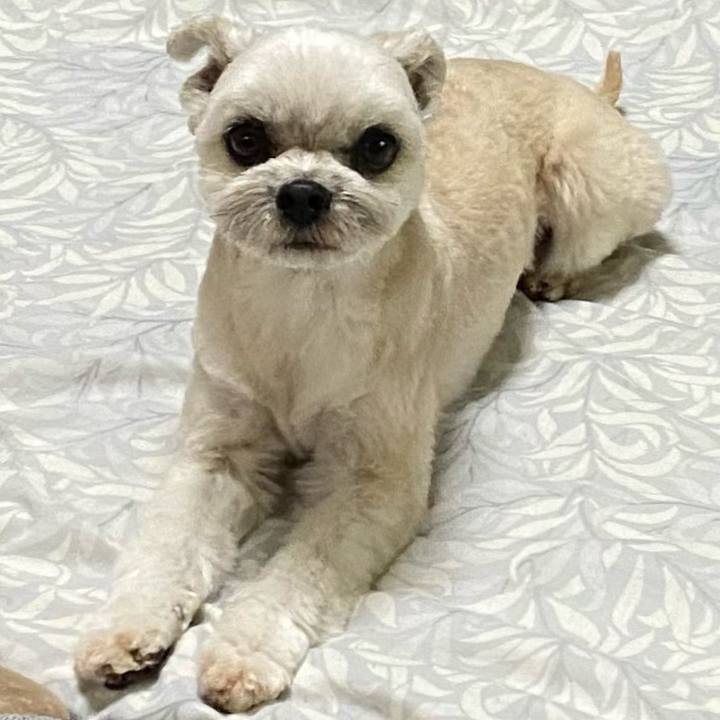 Eb7aac8c ffb5 451b 8ece 66e63794e9ee 1616674474371